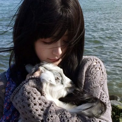 如何与我的猫分手