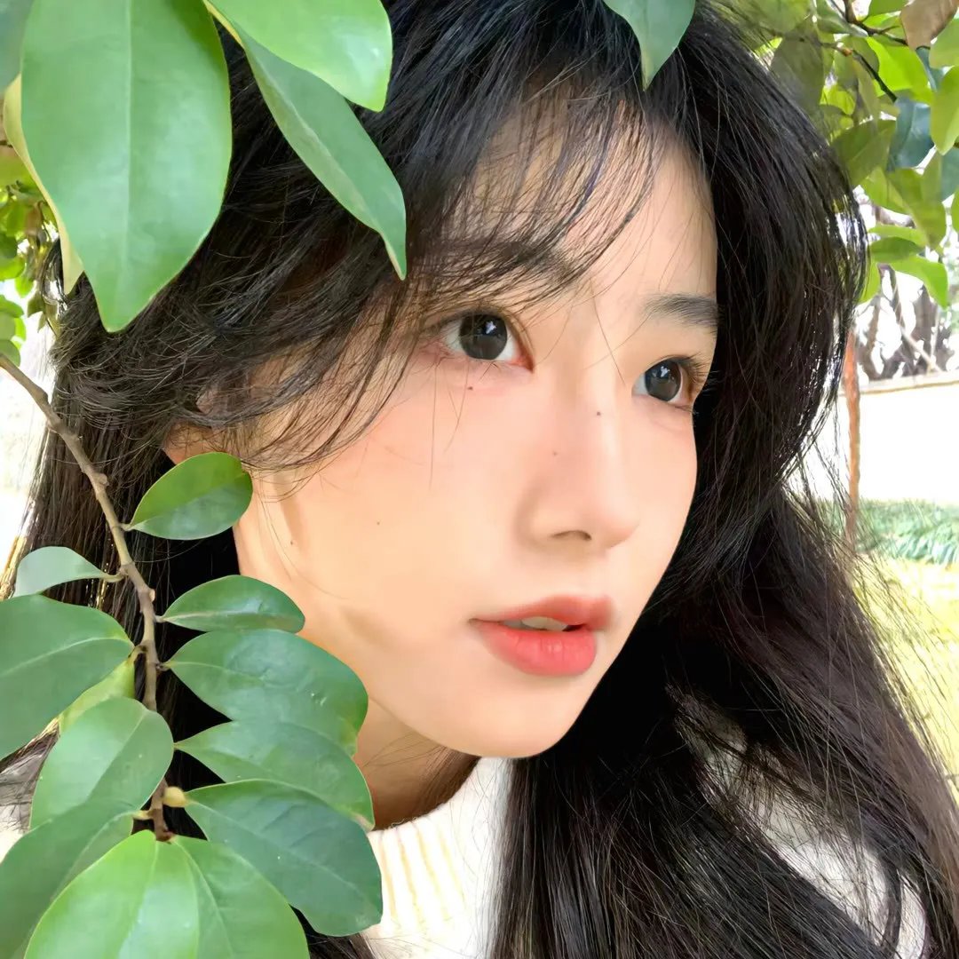 一路繁花2